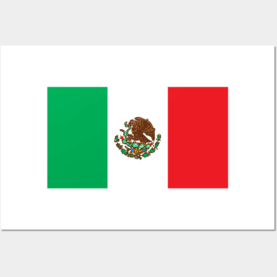 Mexican Flag Posters and Art